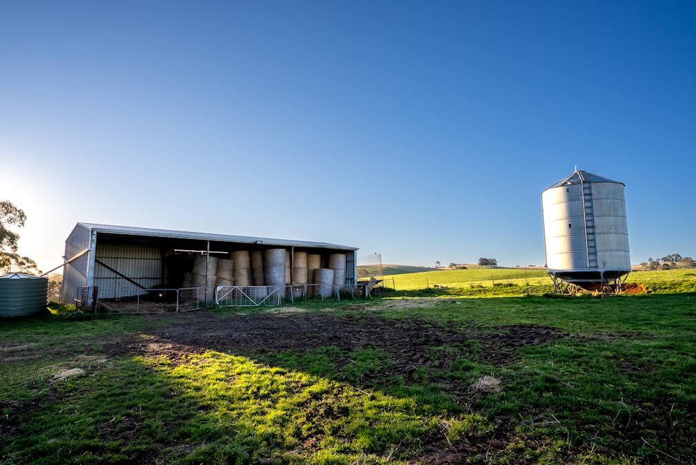 110 & 136 Beneree Road, Tallwood, NSW, 2798 - Image 13