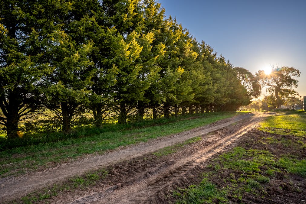 110 & 136 Beneree Road, Tallwood, NSW, 2798 - Image 30