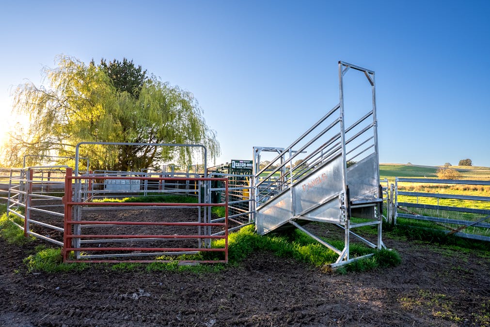 110 & 136 Beneree Road, Tallwood, NSW, 2798 - Image 11