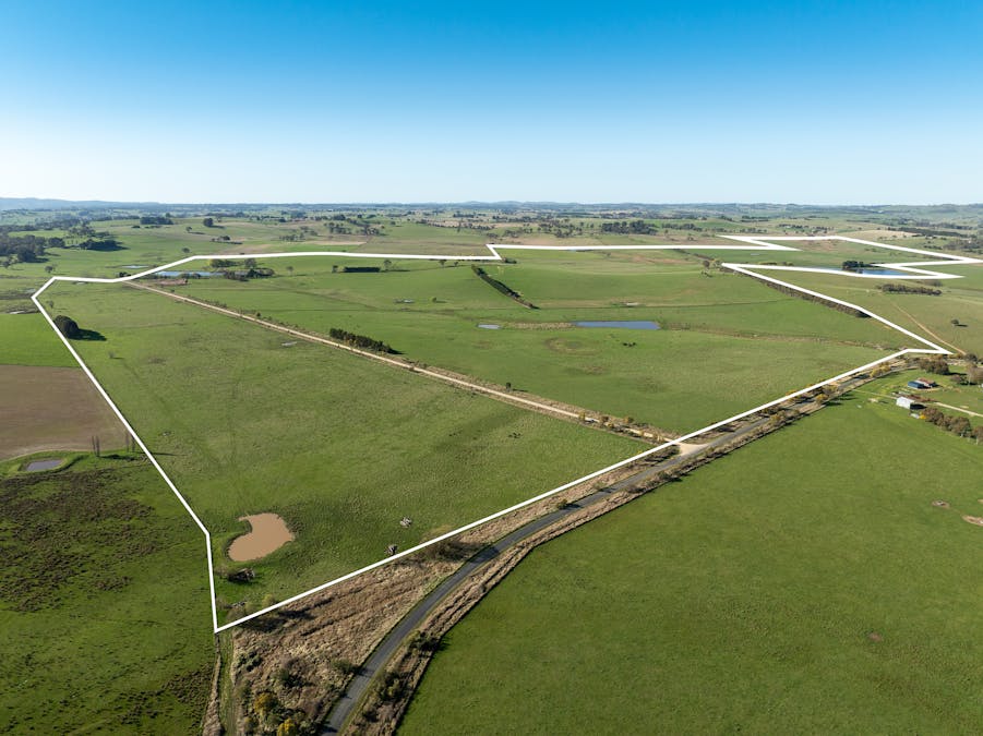 110 & 136 Beneree Road, Tallwood, NSW, 2798 - Image 6