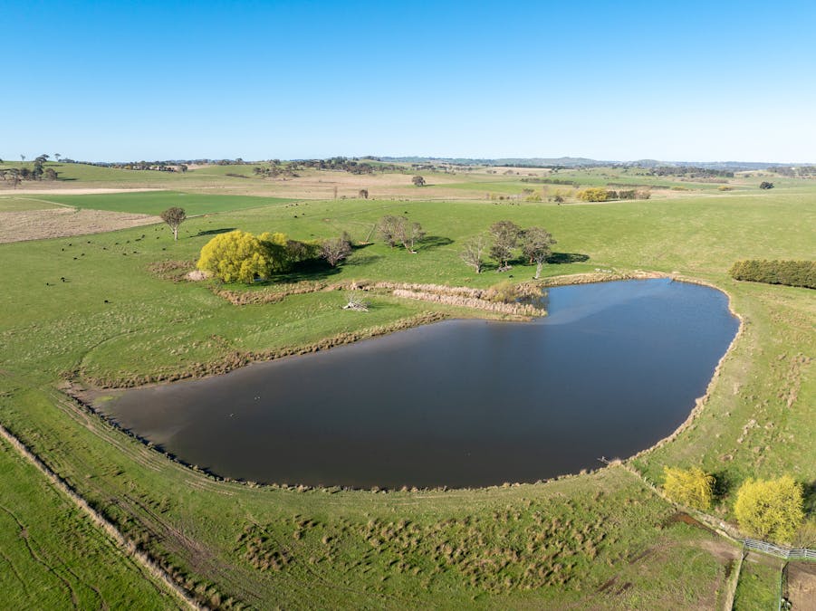 110 & 136 Beneree Road, Tallwood, NSW, 2798 - Image 22