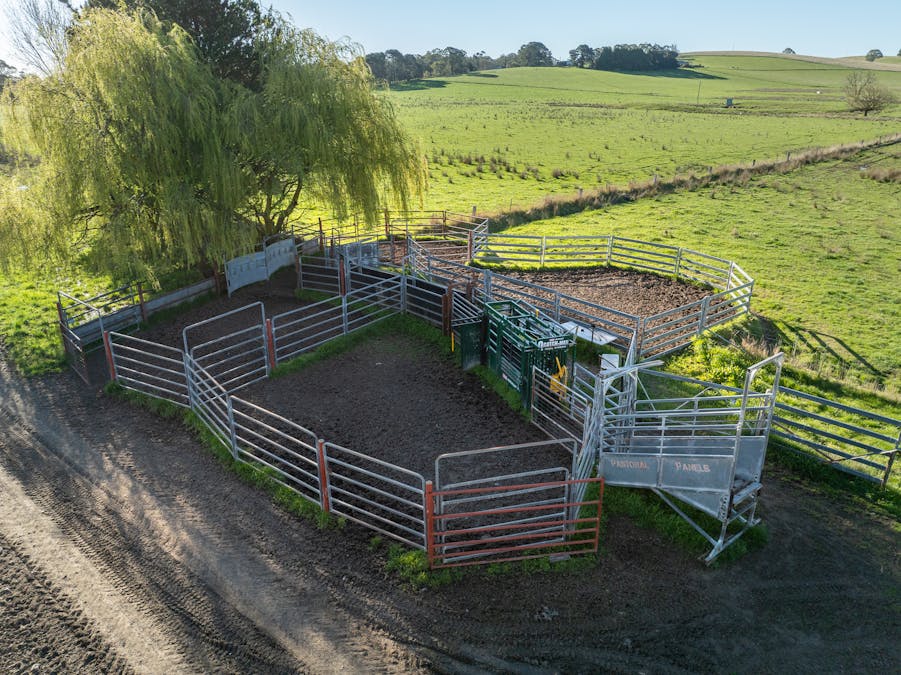 110 & 136 Beneree Road, Tallwood, NSW, 2798 - Image 9