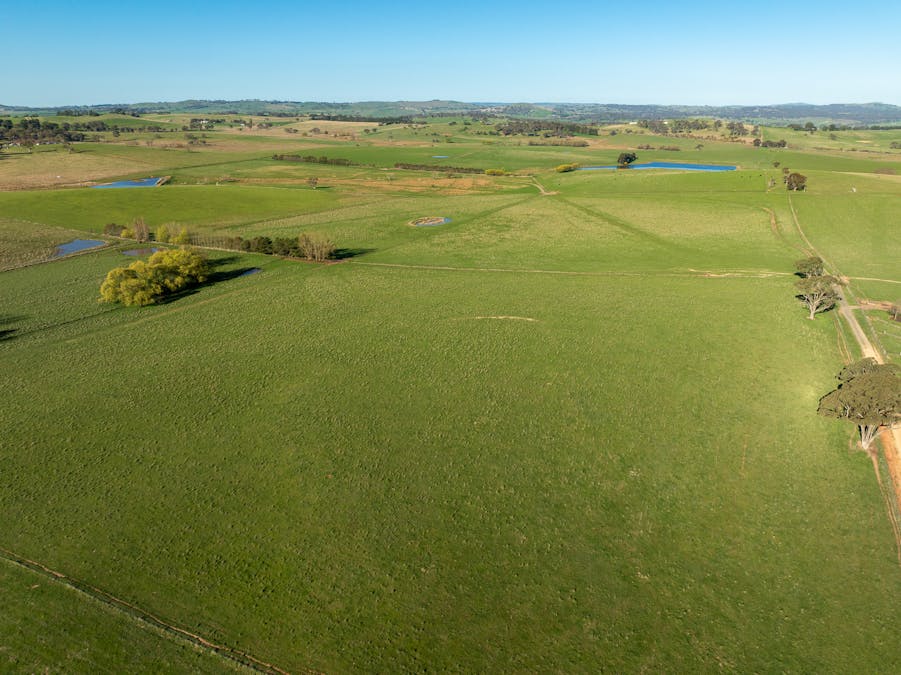 110 & 136 Beneree Road, Tallwood, NSW, 2798 - Image 25
