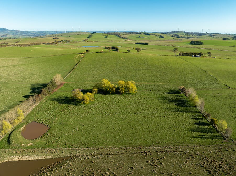 110 & 136 Beneree Road, Tallwood, NSW, 2798 - Image 26