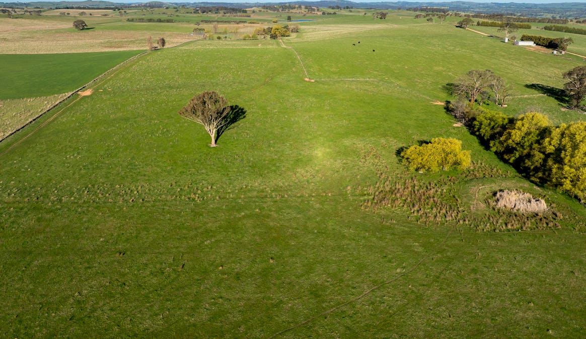 110 & 136 Beneree Road, Tallwood, NSW, 2798 - Image 29