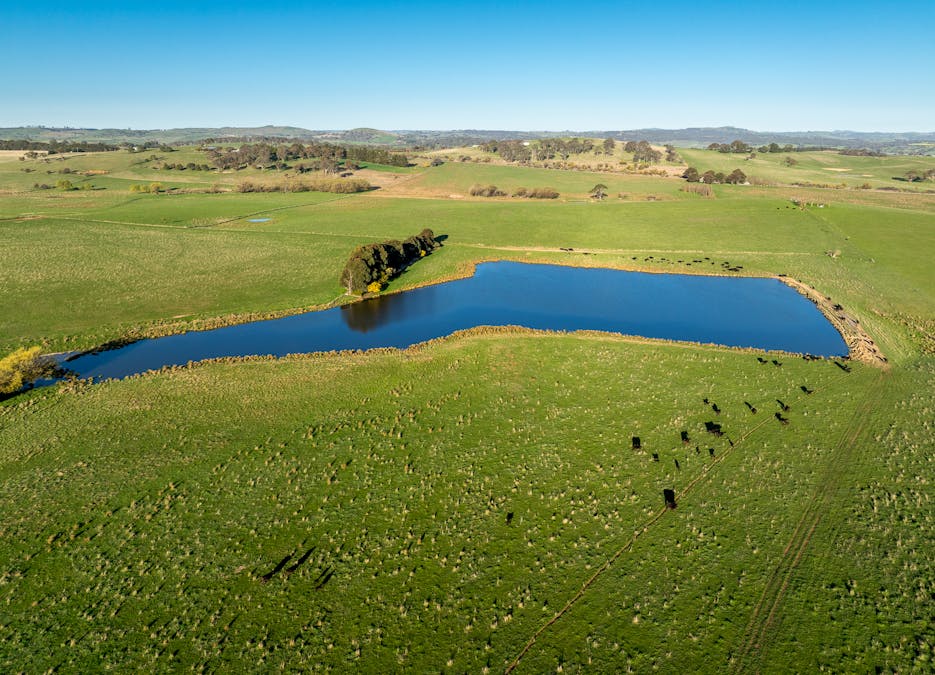 110 & 136 Beneree Road, Tallwood, NSW, 2798 - Image 24