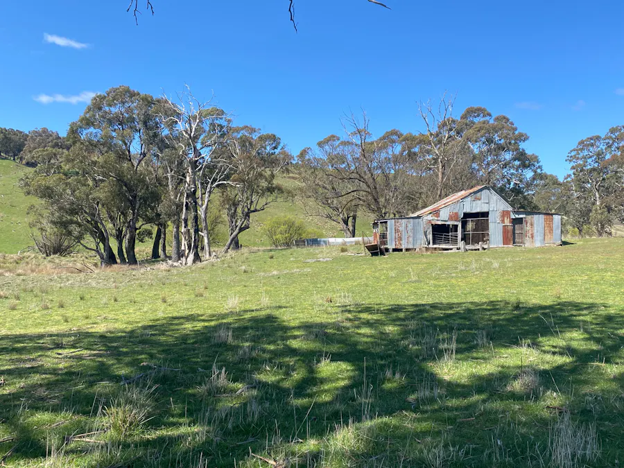 2585 Burraga Road, Burraga, NSW, 2795 - Image 7