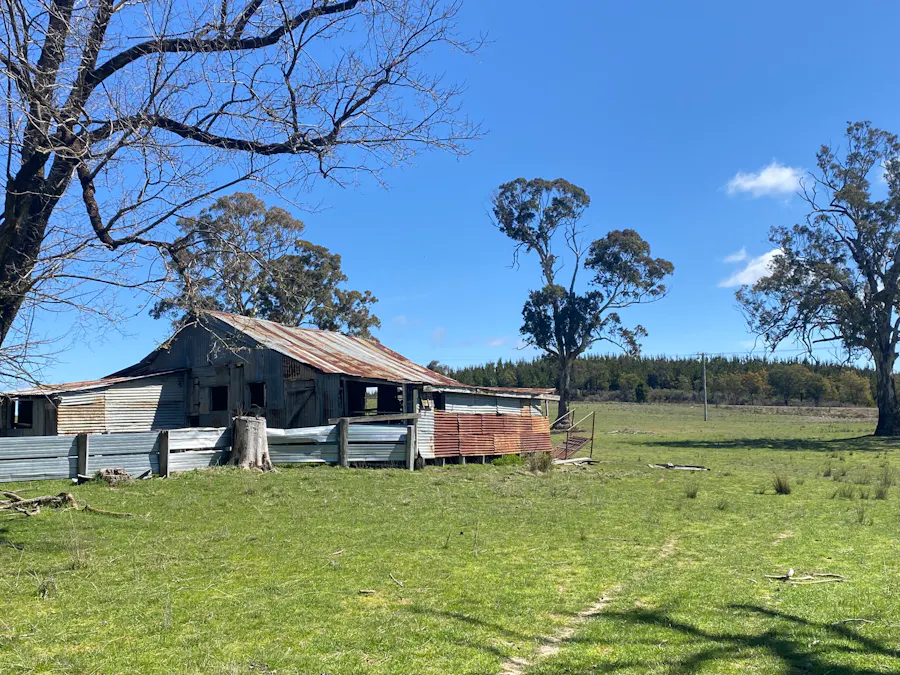 2585 Burraga Road, Burraga, NSW, 2795 - Image 2