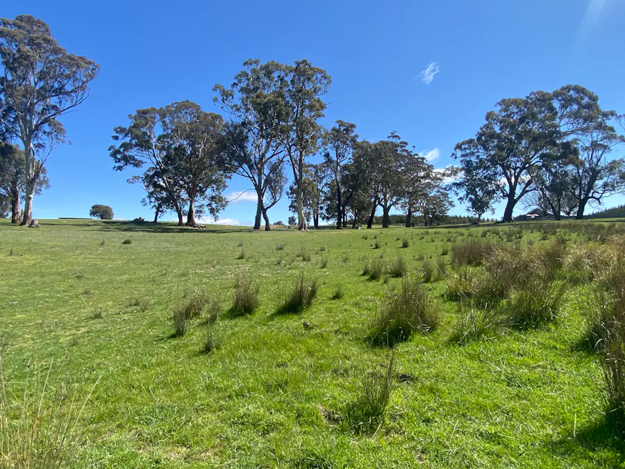 2585 Burraga Road, Burraga, NSW, 2795 - Image 4