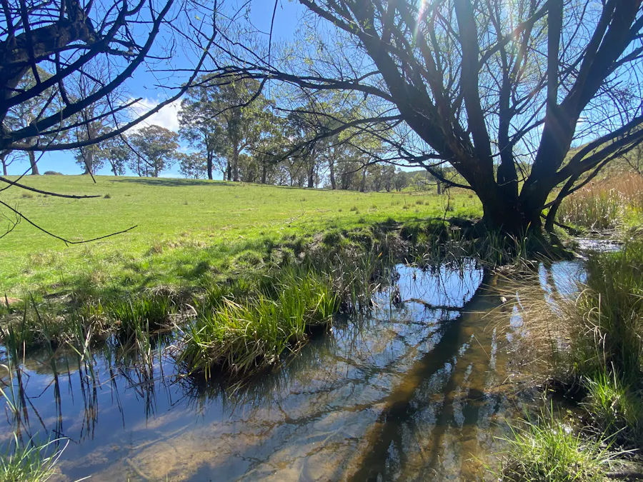 2585 Burraga Road, Burraga, NSW, 2795 - Image 5