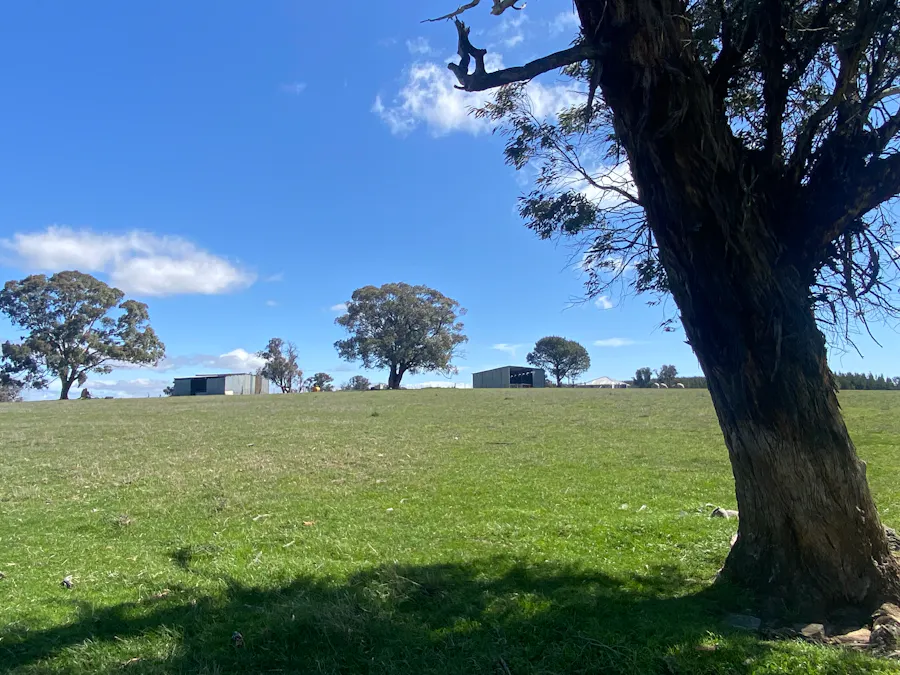 2585 Burraga Road, Burraga, NSW, 2795 - Image 8