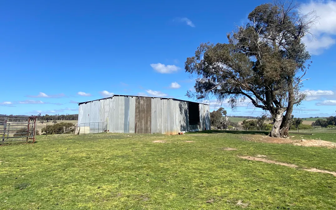 2585 Burraga Road, Burraga, NSW, 2795 - Image 24