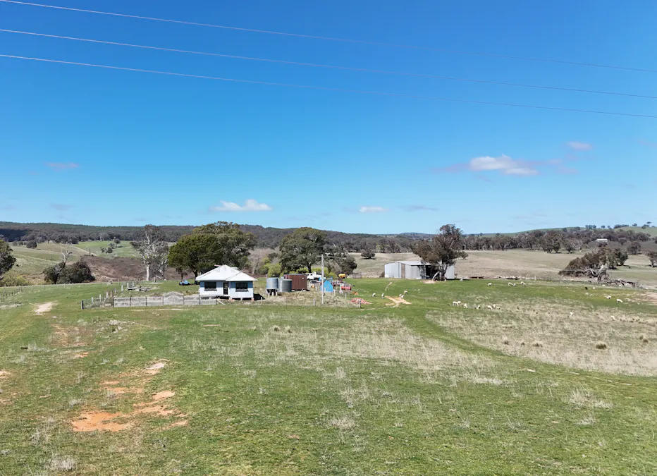 2585 Burraga Road, Burraga, NSW, 2795 - Image 11