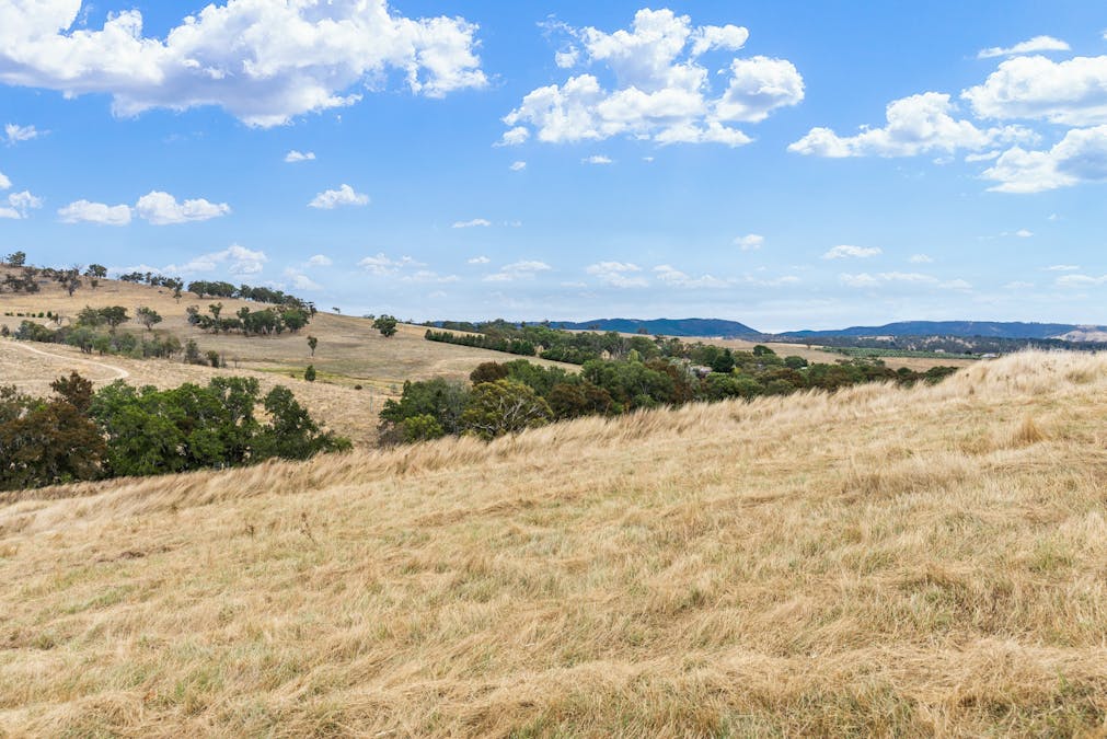 1806 Hazelgrove Road, Tarana, NSW, 2787 - Image 28