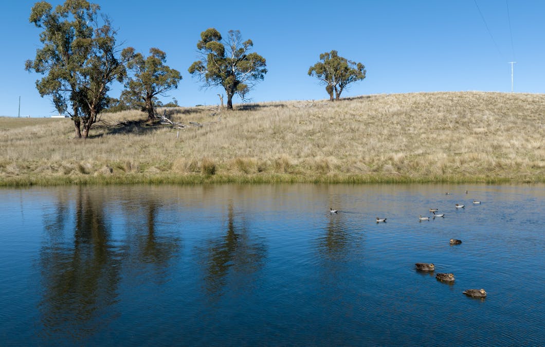 72 Humphries Drive, Oberon, NSW, 2787 - Image 1