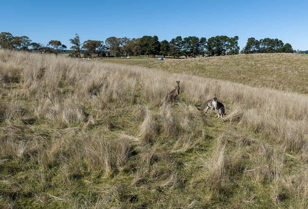 72 Humphries Drive, Oberon, NSW, 2787 - Image 6