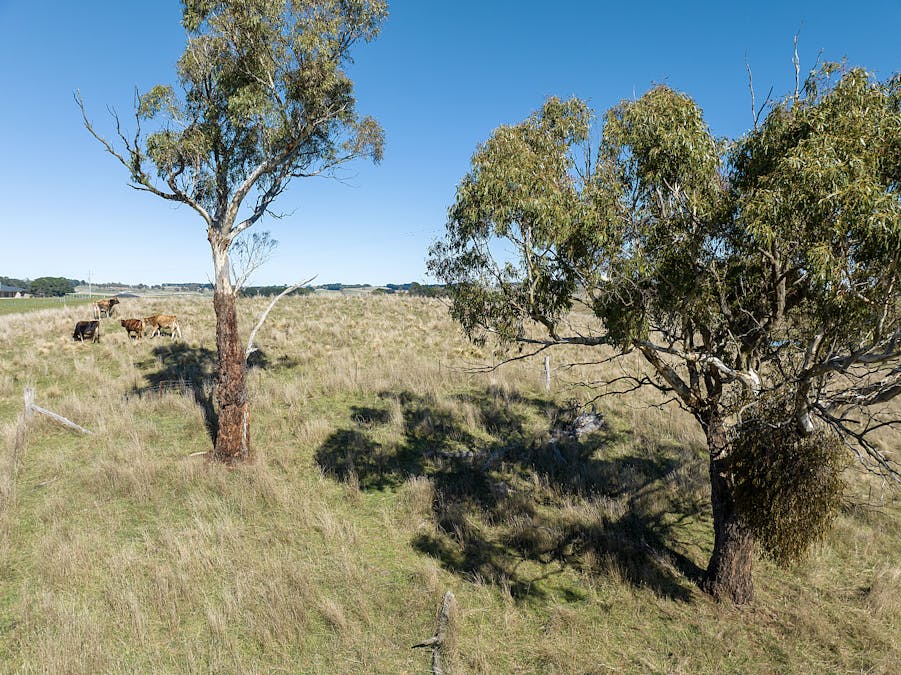 72 Humphries Drive, Oberon, NSW, 2787 - Image 7