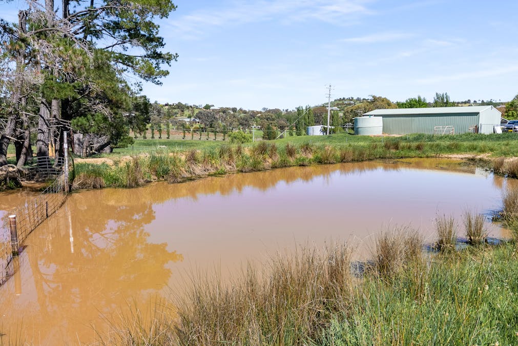 1170 Mitchell Hwy, Orange, NSW, 2800 - Image 33