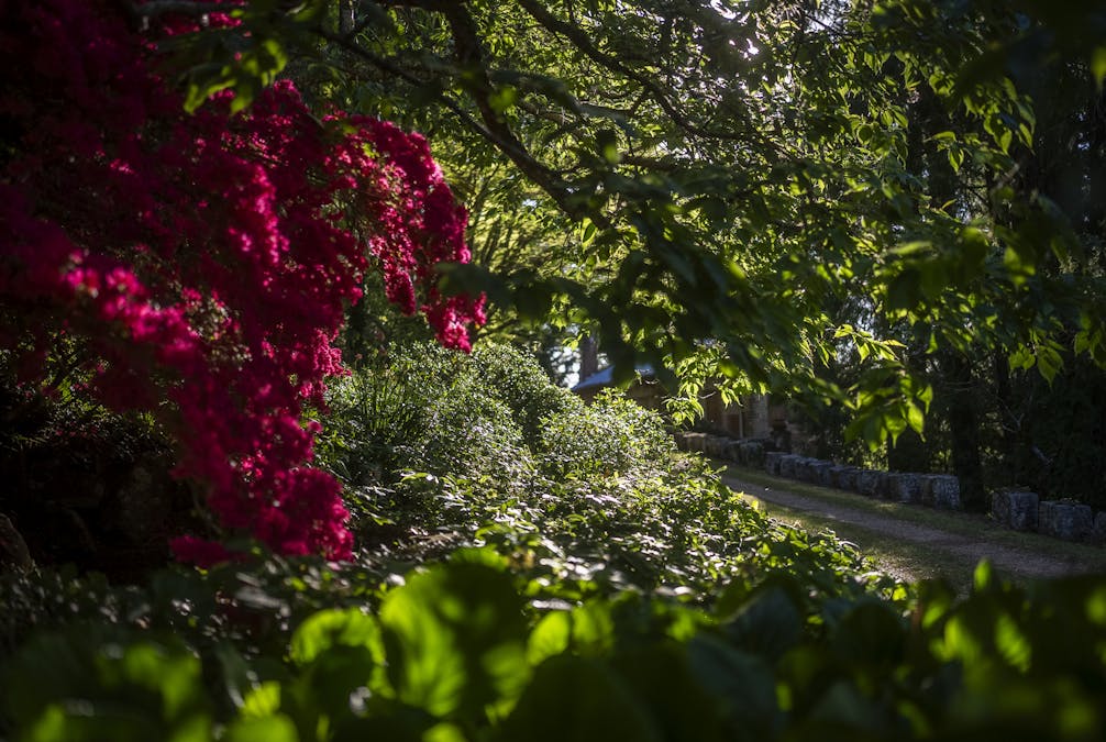 68 - 76 Mount Irvine Road, Mount Wilson, NSW, 2786 - Image 22