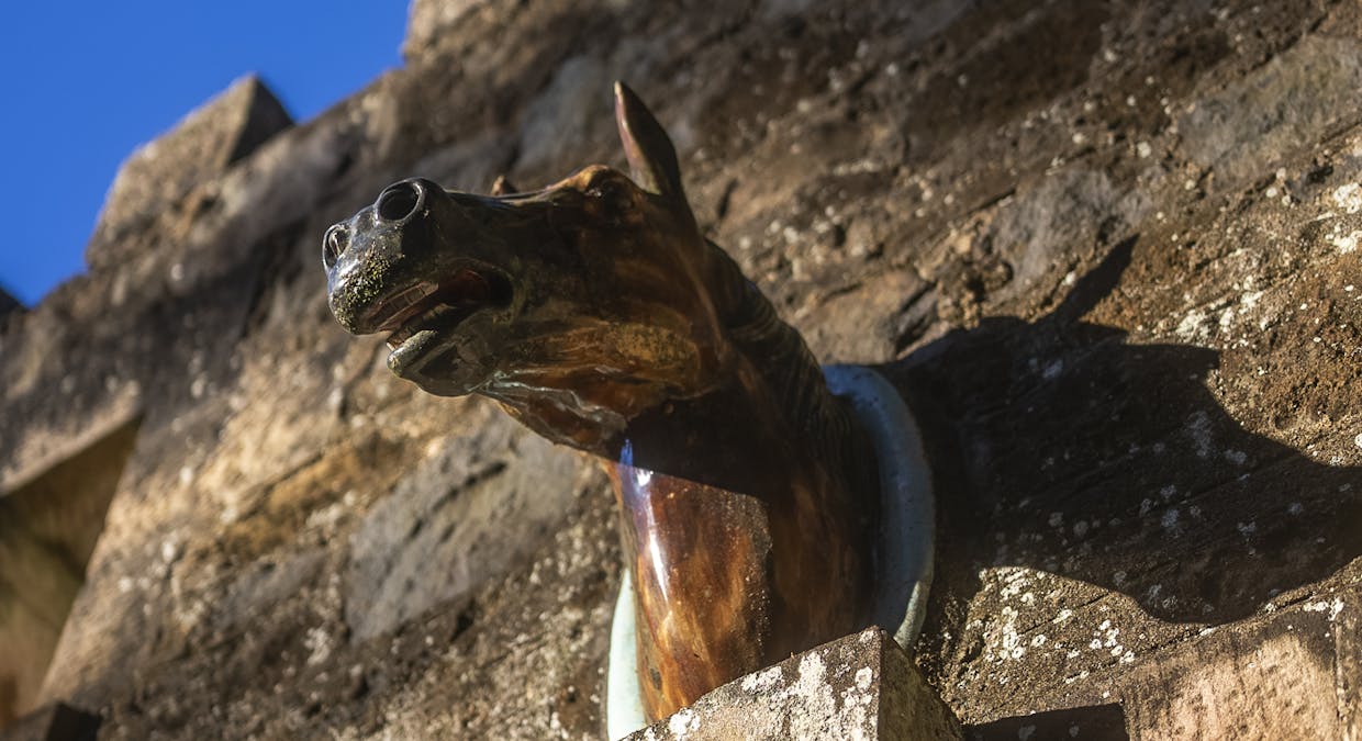 68 - 76 Mount Irvine Road, Mount Wilson, NSW, 2786 - Image 26