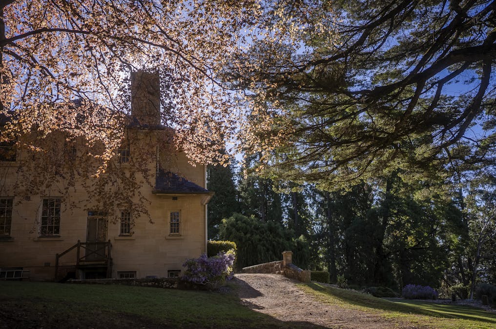 68 - 76 Mount Irvine Road, Mount Wilson, NSW, 2786 - Image 8