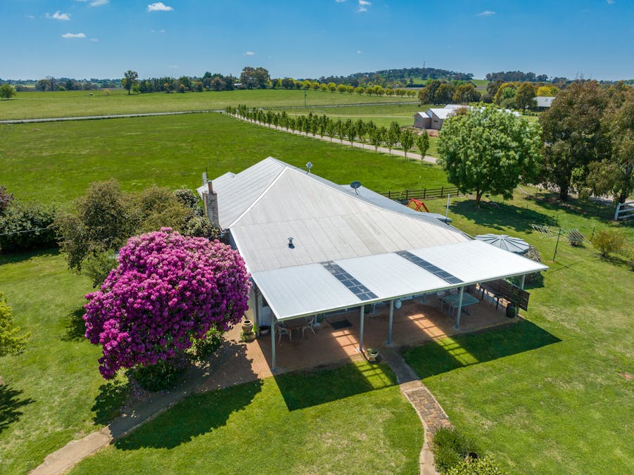 269 Forest Reefs Road, Millthorpe, NSW, 2798 - Image 10