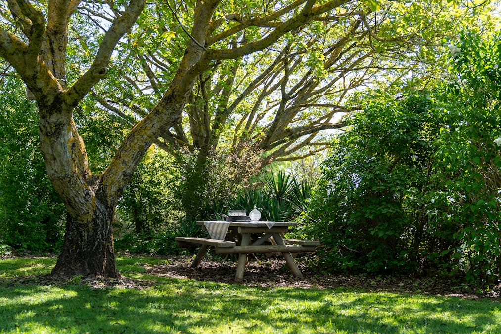 269 Forest Reefs Road, Millthorpe, NSW, 2798 - Image 16