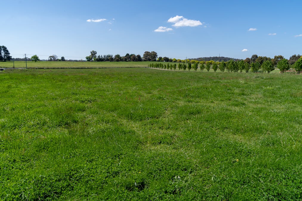 269 Forest Reefs Road, Millthorpe, NSW, 2798 - Image 17