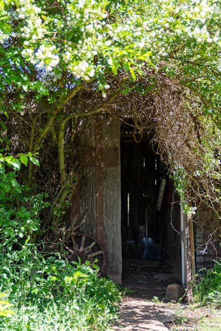 269 Forest Reefs Road, Millthorpe, NSW, 2798 - Image 18