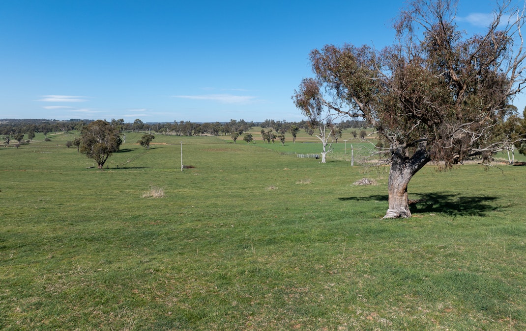 101 Kentucky Road, Neville, NSW, 2799 - Image 3