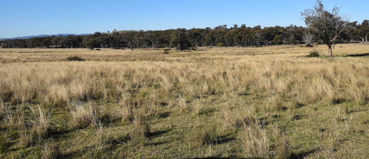 804 Old Yullundry Road, Yullundry, NSW, 2867 - Image 5