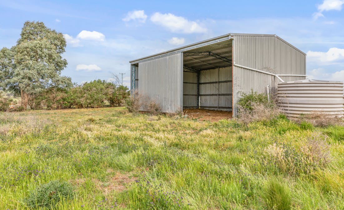 681 Brewongle Lane, Brewongle, NSW, 2795 - Image 3