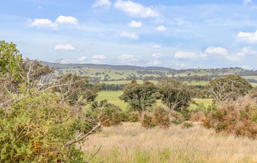 681 Brewongle Lane, Brewongle, NSW, 2795 - Image 4