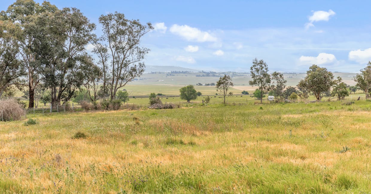 681 Brewongle Lane, Brewongle, NSW, 2795 - Image 6