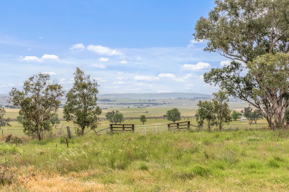 681 Brewongle Lane, Brewongle, NSW, 2795 - Image 5