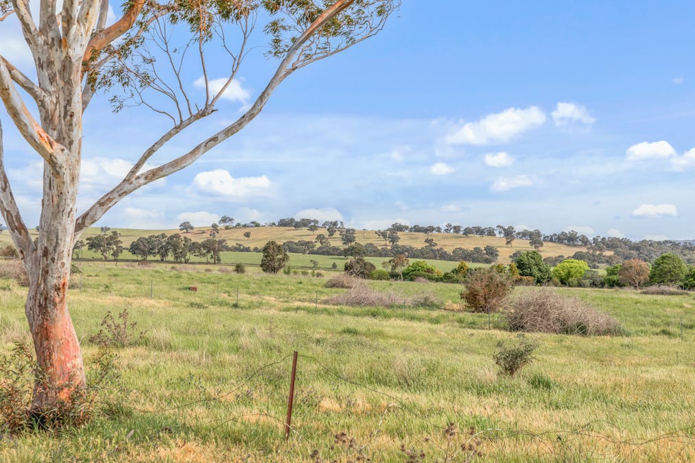 681 Brewongle Lane, Brewongle, NSW, 2795 - Image 8