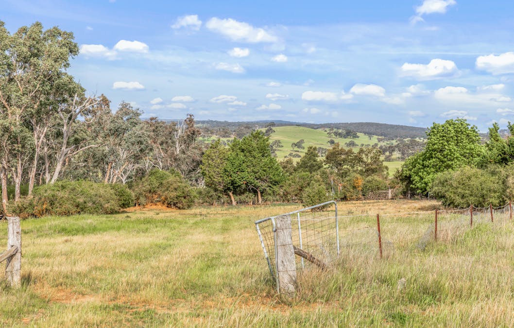 681 Brewongle Lane, Brewongle, NSW, 2795 - Image 9