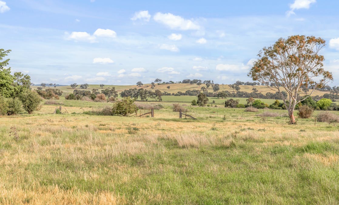 681 Brewongle Lane, Brewongle, NSW, 2795 - Image 10