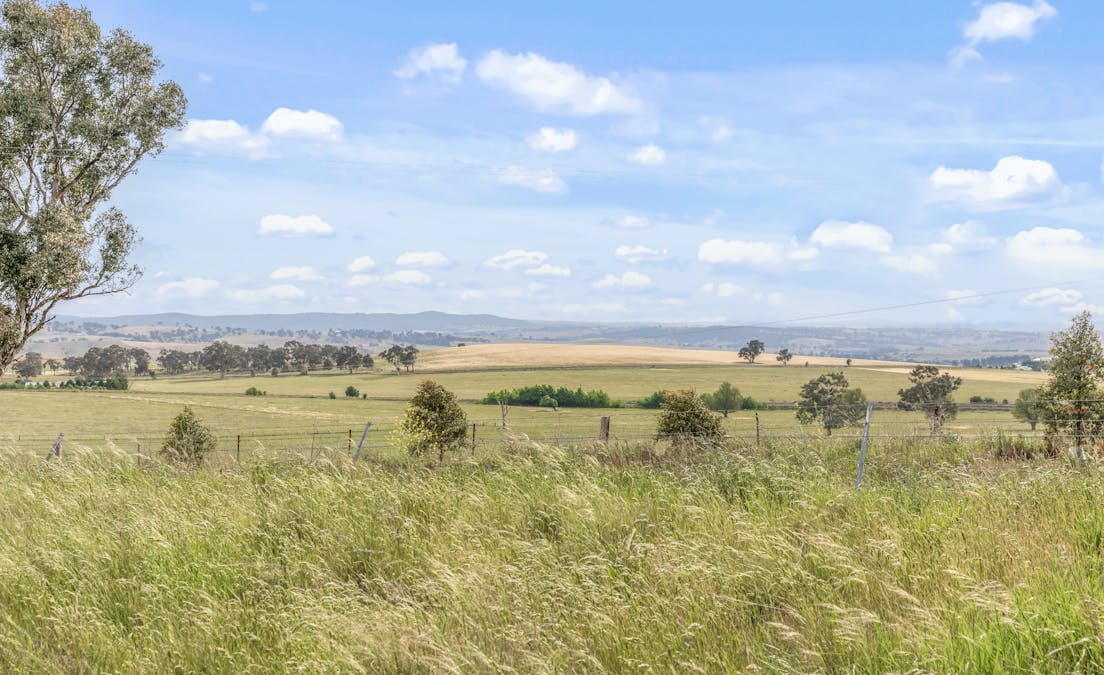 681 Brewongle Lane, Brewongle, NSW, 2795 - Image 11
