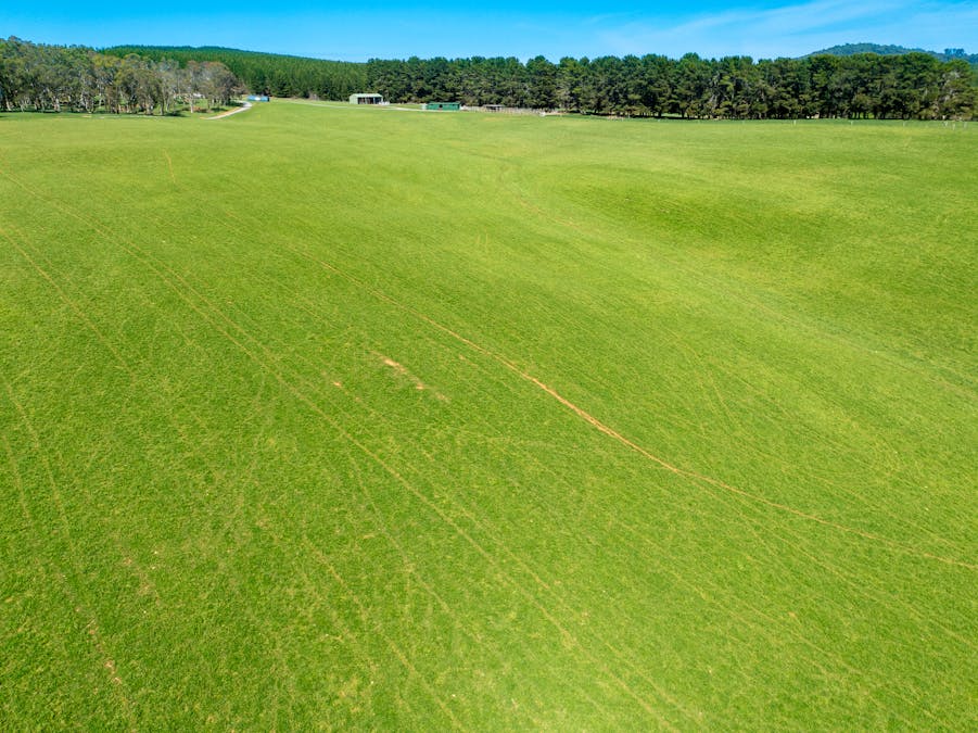 439 Tuglow Forest Road, Shooters Hill, NSW, 2787 - Image 8