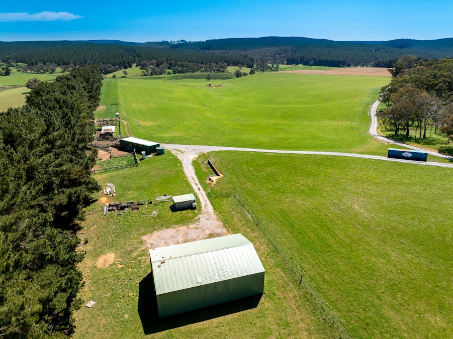 439 Tuglow Forest Road, Shooters Hill, NSW, 2787 - Image 9