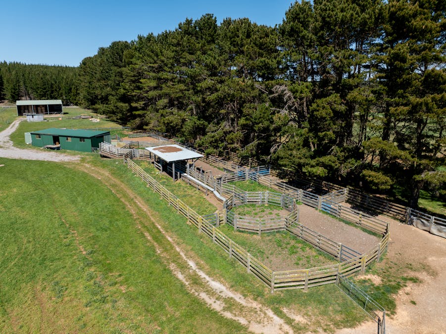 439 Tuglow Forest Road, Shooters Hill, NSW, 2787 - Image 10