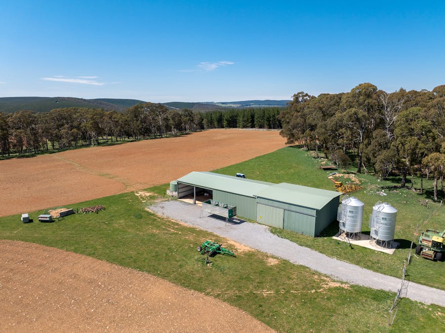 439 Tuglow Forest Road, Shooters Hill, NSW, 2787 - Image 12