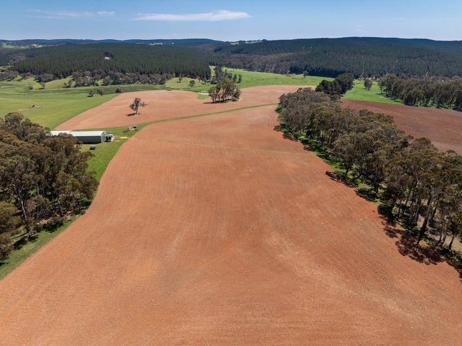 439 Tuglow Forest Road, Shooters Hill, NSW, 2787 - Image 14