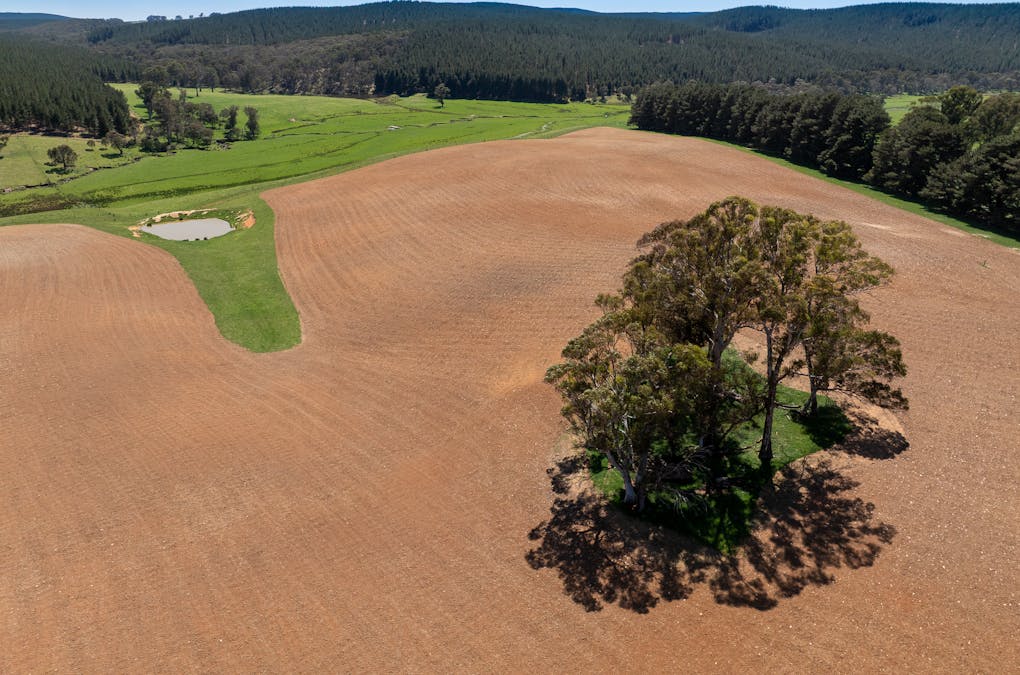 439 Tuglow Forest Road, Shooters Hill, NSW, 2787 - Image 15