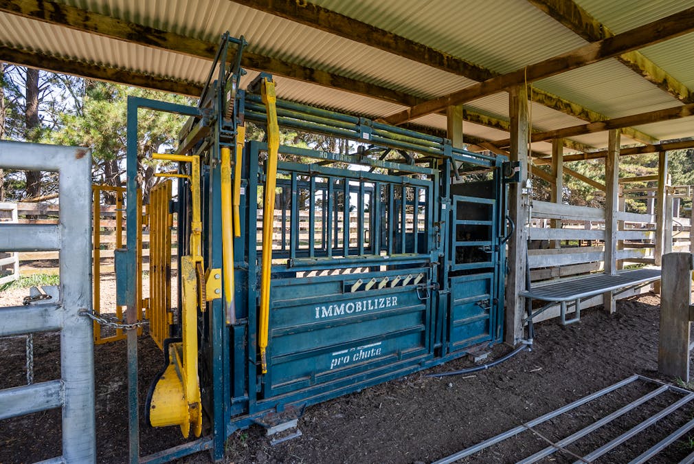 439 Tuglow Forest Road, Shooters Hill, NSW, 2787 - Image 18