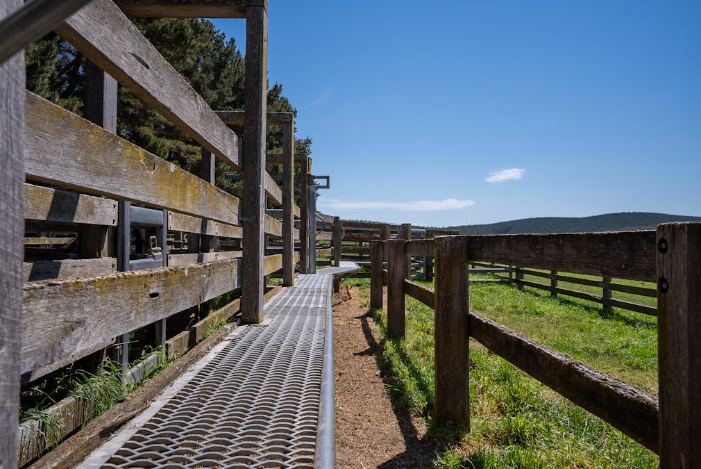 439 Tuglow Forest Road, Shooters Hill, NSW, 2787 - Image 19