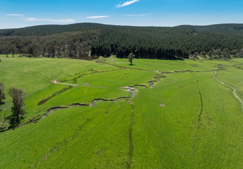 439 Tuglow Forest Road, Shooters Hill, NSW, 2787 - Image 22