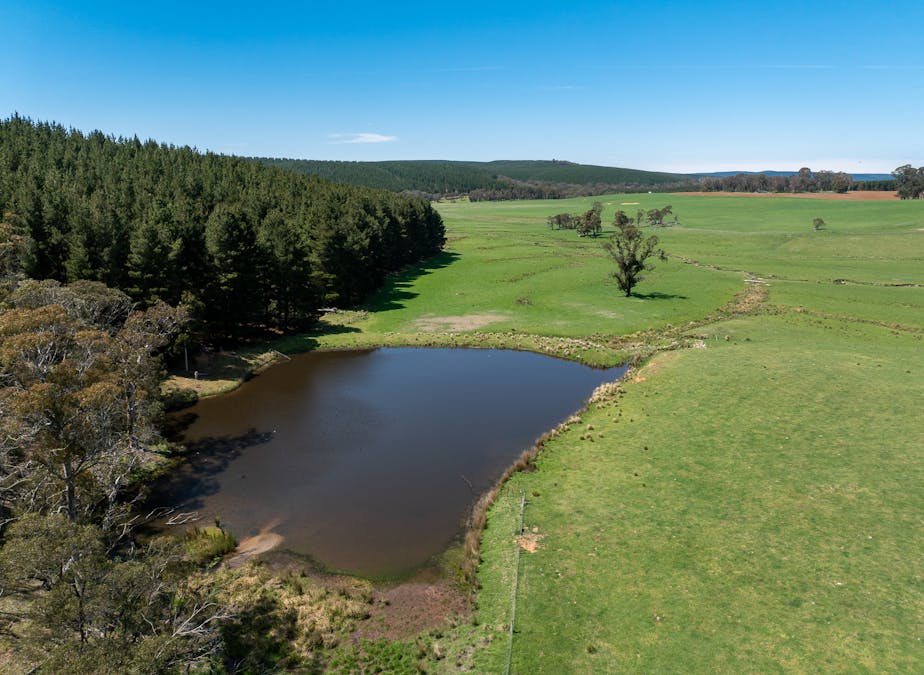 439 Tuglow Forest Road, Shooters Hill, NSW, 2787 - Image 1