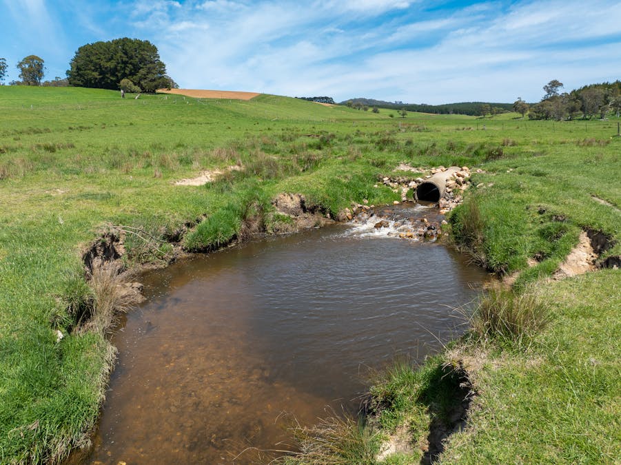 439 Tuglow Forest Road, Shooters Hill, NSW, 2787 - Image 23